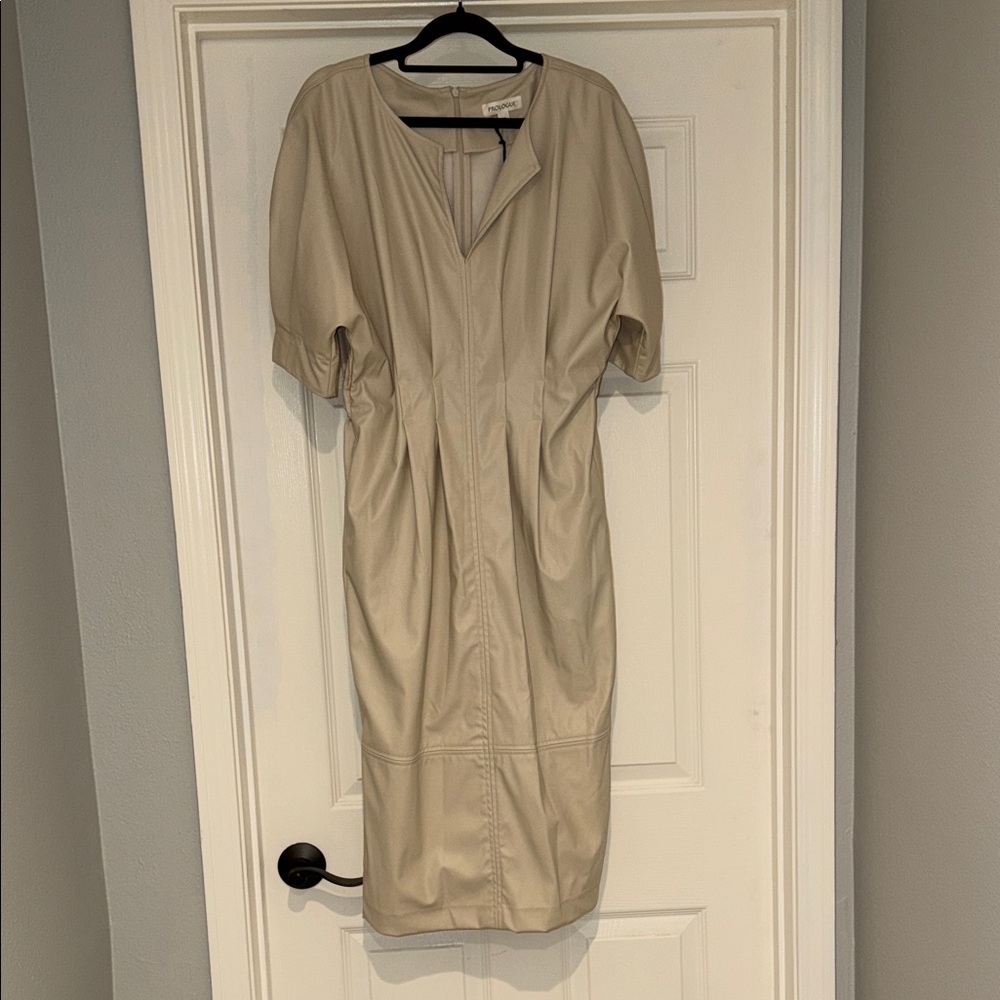 Sexy Faux Leather Dress